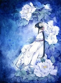 盛世狂妃：嫡女惊华